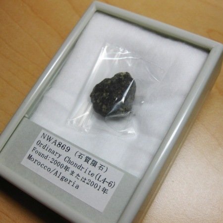 Amazon | NWA869隕石標本（石質隕石） | 宇宙・天文